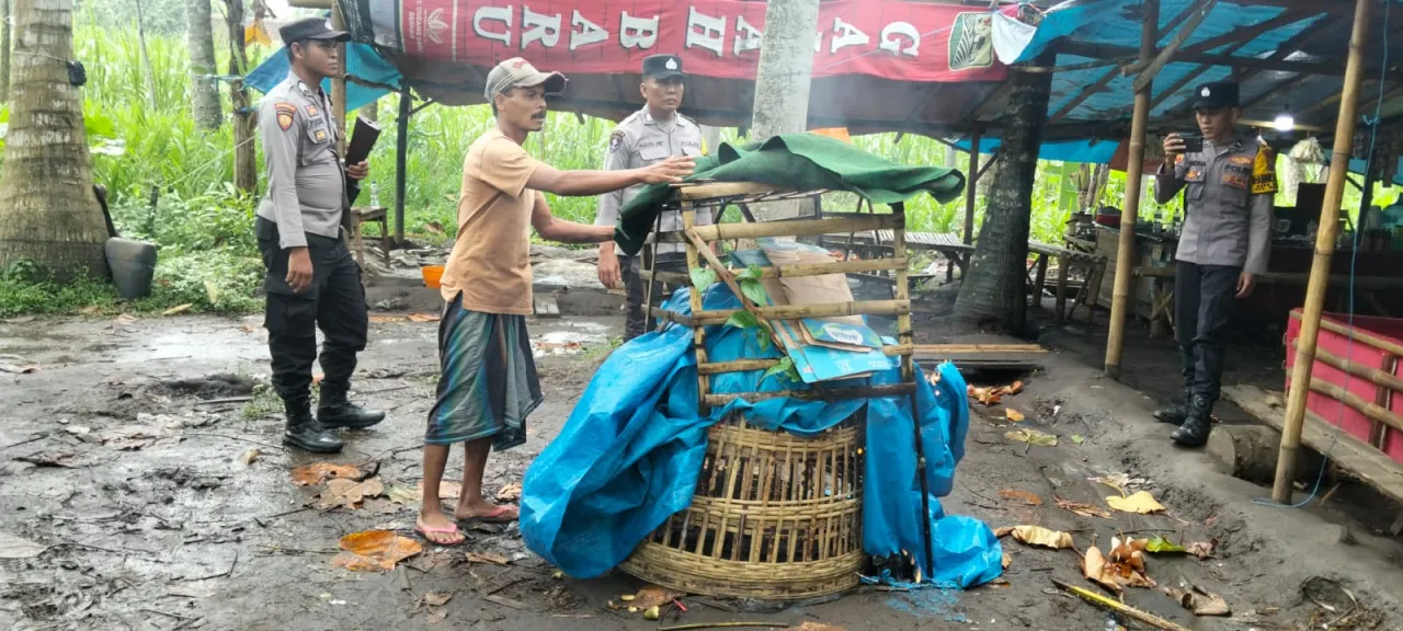 Polsek Ranuyoso Bongkar Yang Diduga di Jadikan Tempat Sabung Ayam