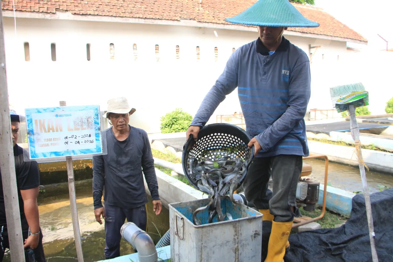 Panen Melimpah, Lapas I Madiun Sukses Budidayakan Ribuan Lele