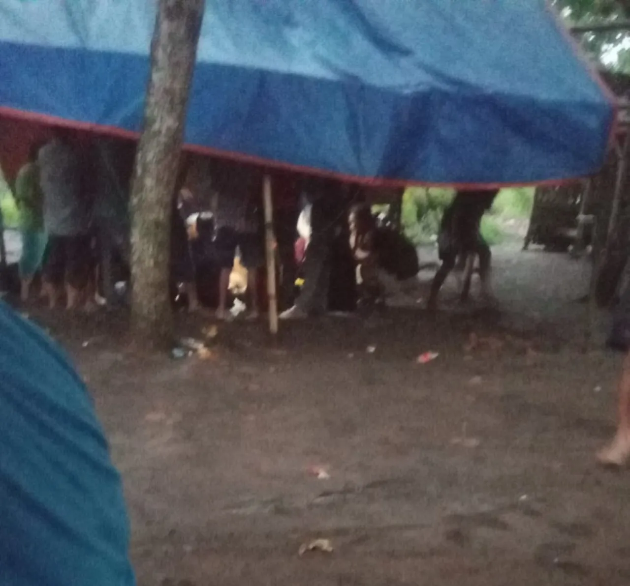 Dugaan Perjudian Dadu di Pasar Sapi Condro, Aparat Diminta Turun Tangan