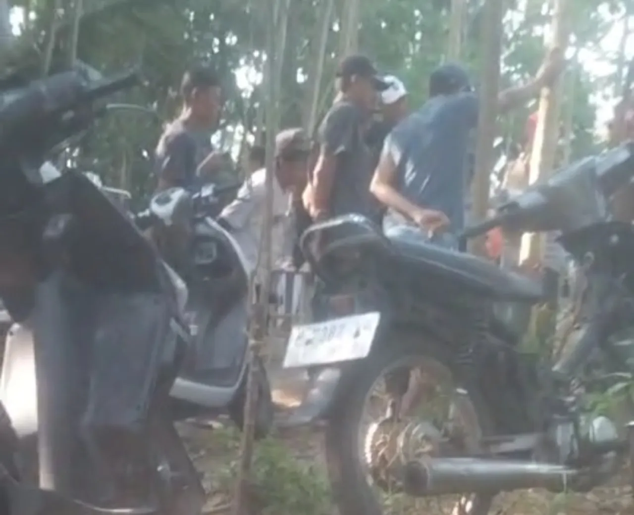 Warga Resah, Dugaan Arena Judi Sabung Ayam dan Dadu di Pasirian Lumajang Disebut Buka Sampai Jam 12 Malam