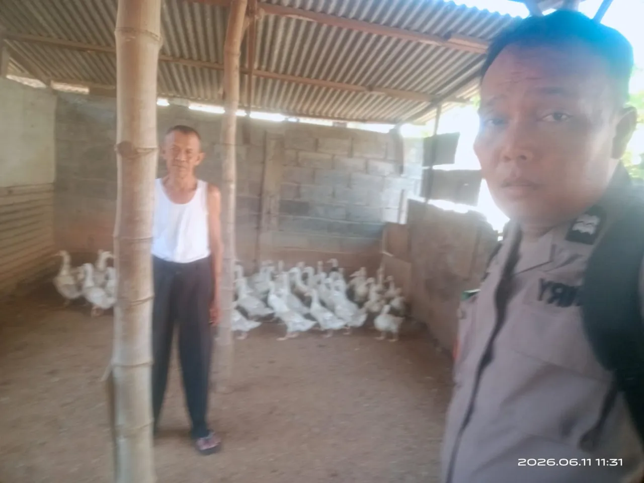 Bhabinkamtibmas Babat Jerawat Dukung Ketahanan Pangan Melalui Pendampingan Peternak Bebek