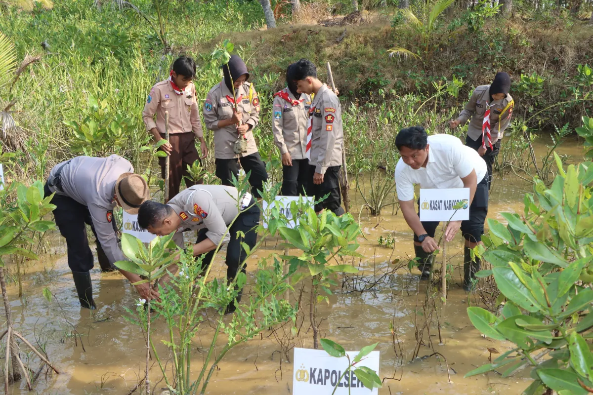Ecology Policing : Polres Trenggalek Tanam Mangrove dan Lepas Liarkan Ratusan Tukik